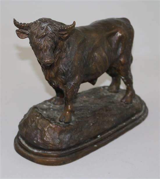 An animalier bronze model of a Highland bull, 9in.